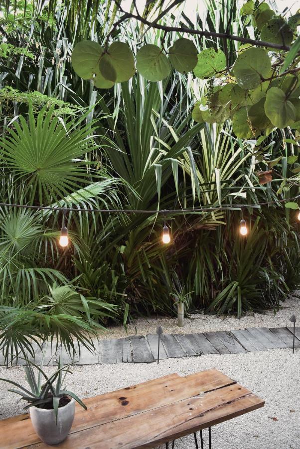 Amor Rooms Tulum Extérieur photo