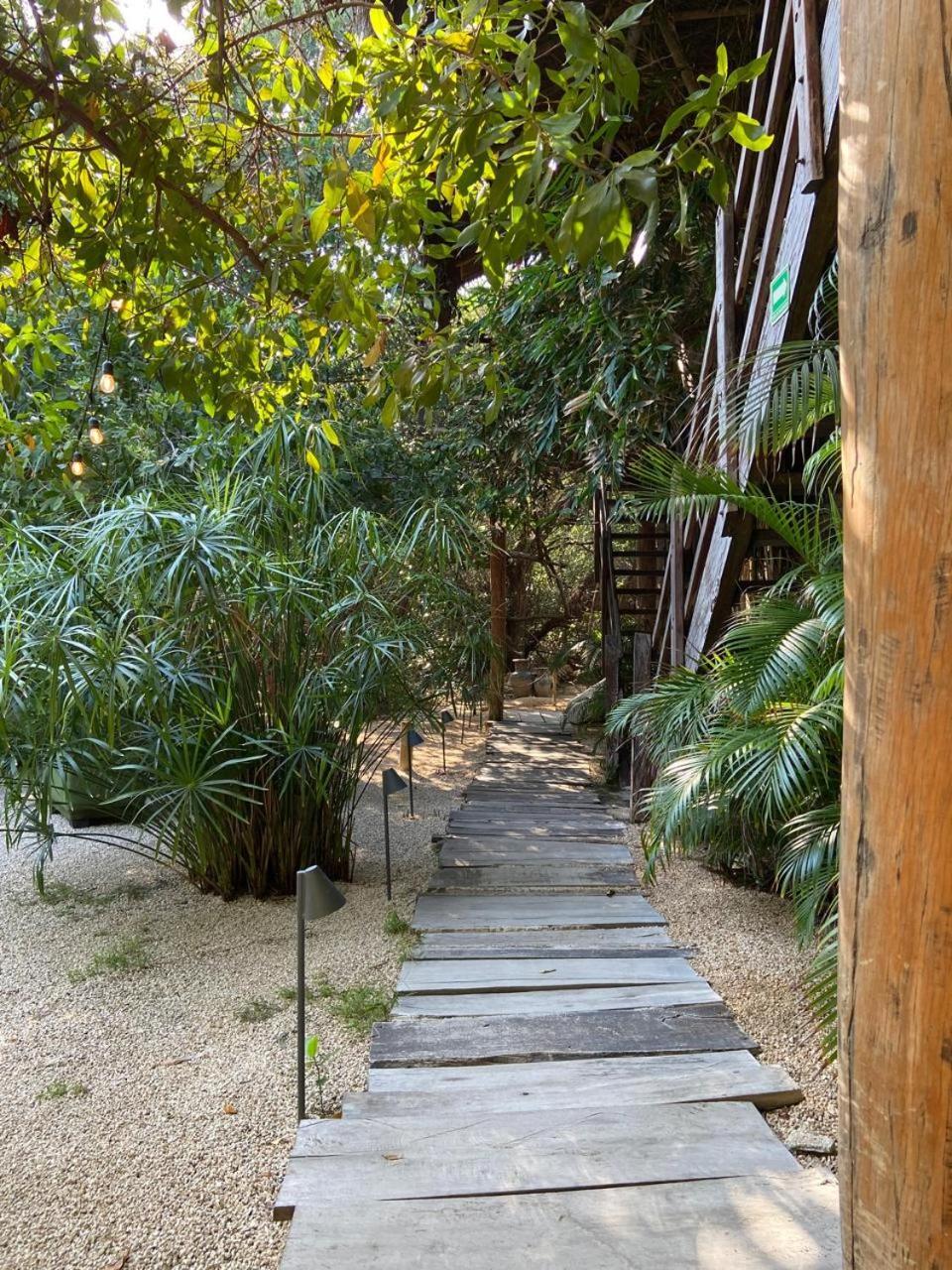 Amor Rooms Tulum Extérieur photo