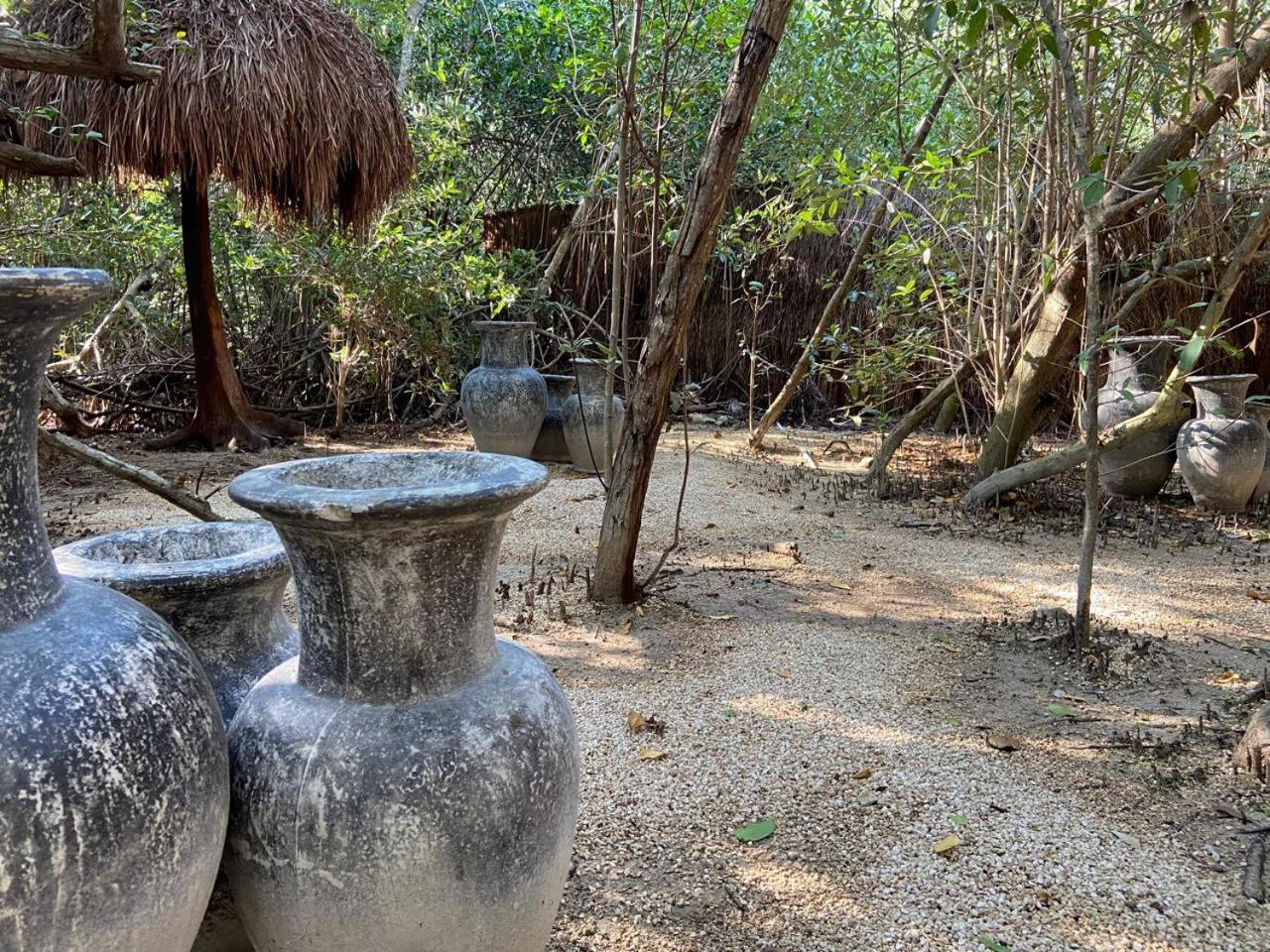 Amor Rooms Tulum Extérieur photo
