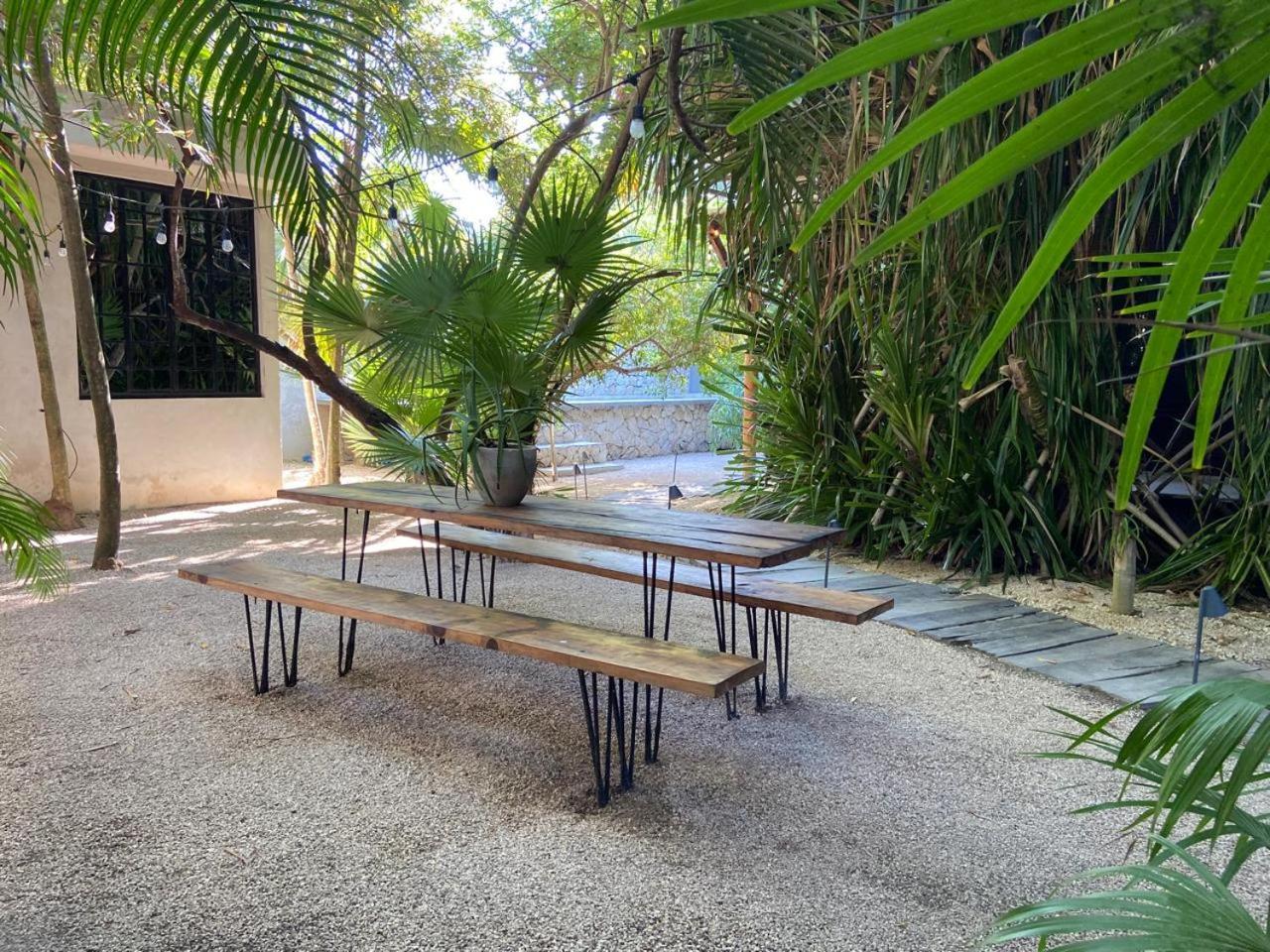 Amor Rooms Tulum Extérieur photo