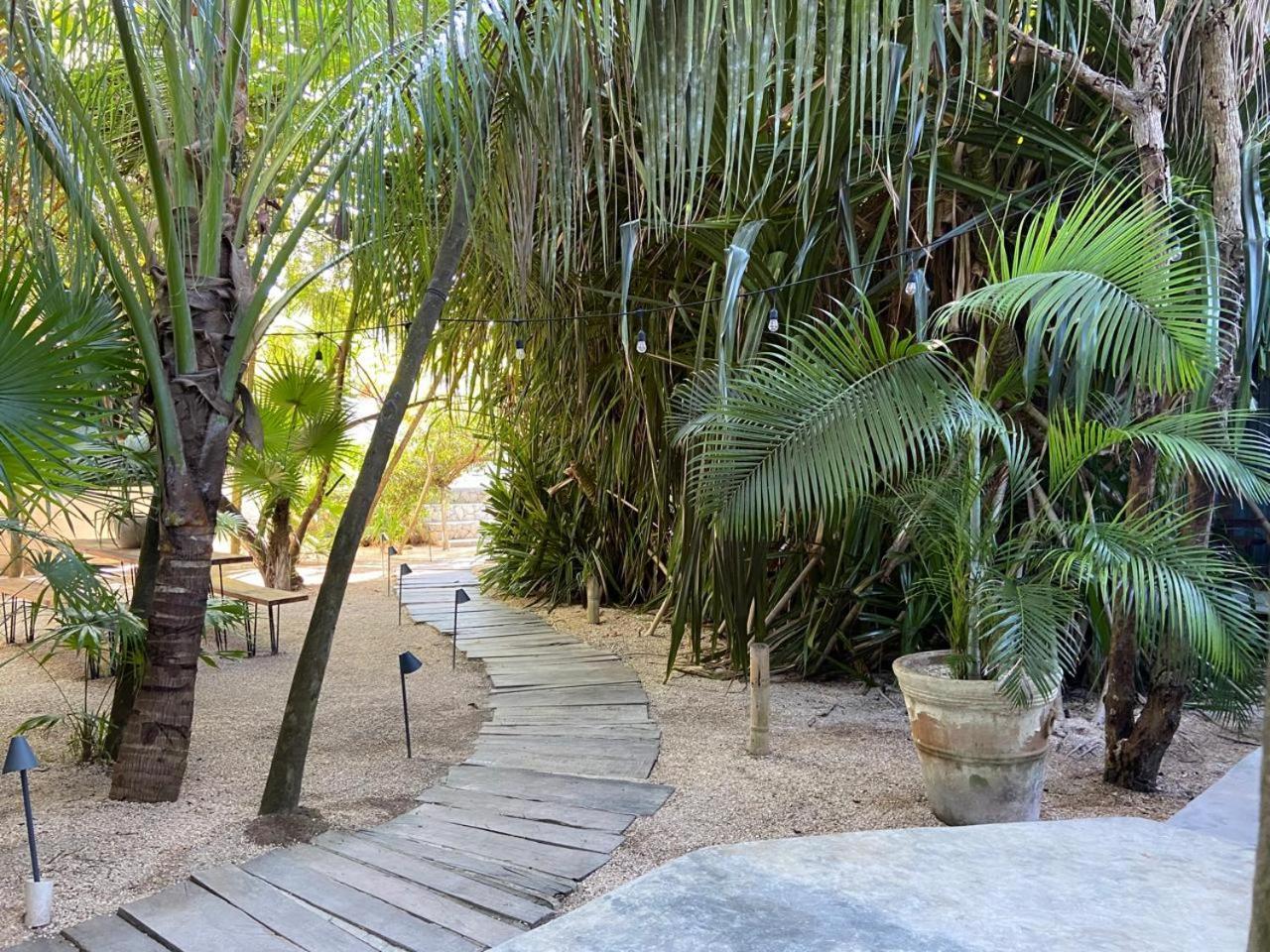 Amor Rooms Tulum Extérieur photo