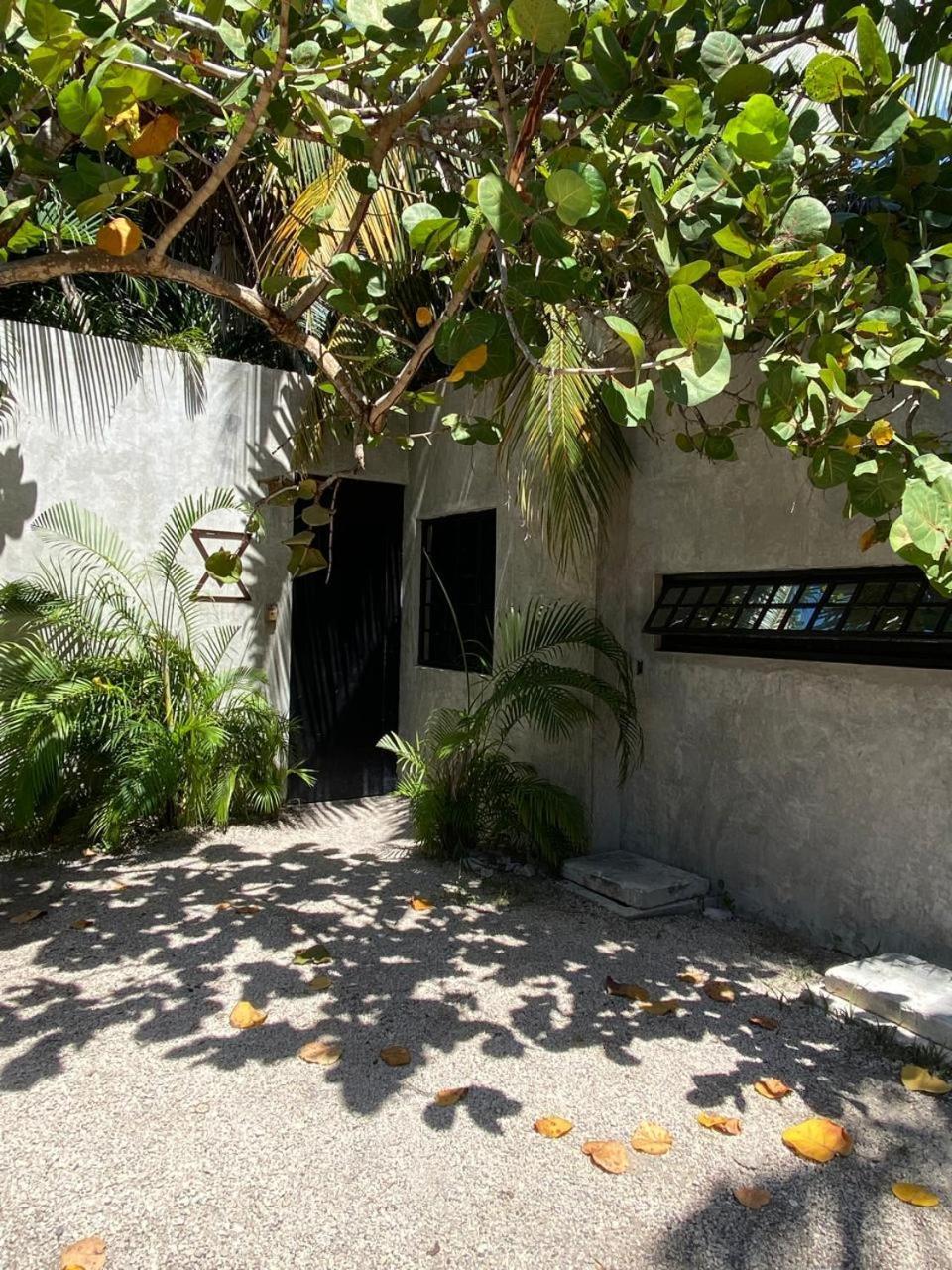 Amor Rooms Tulum Extérieur photo