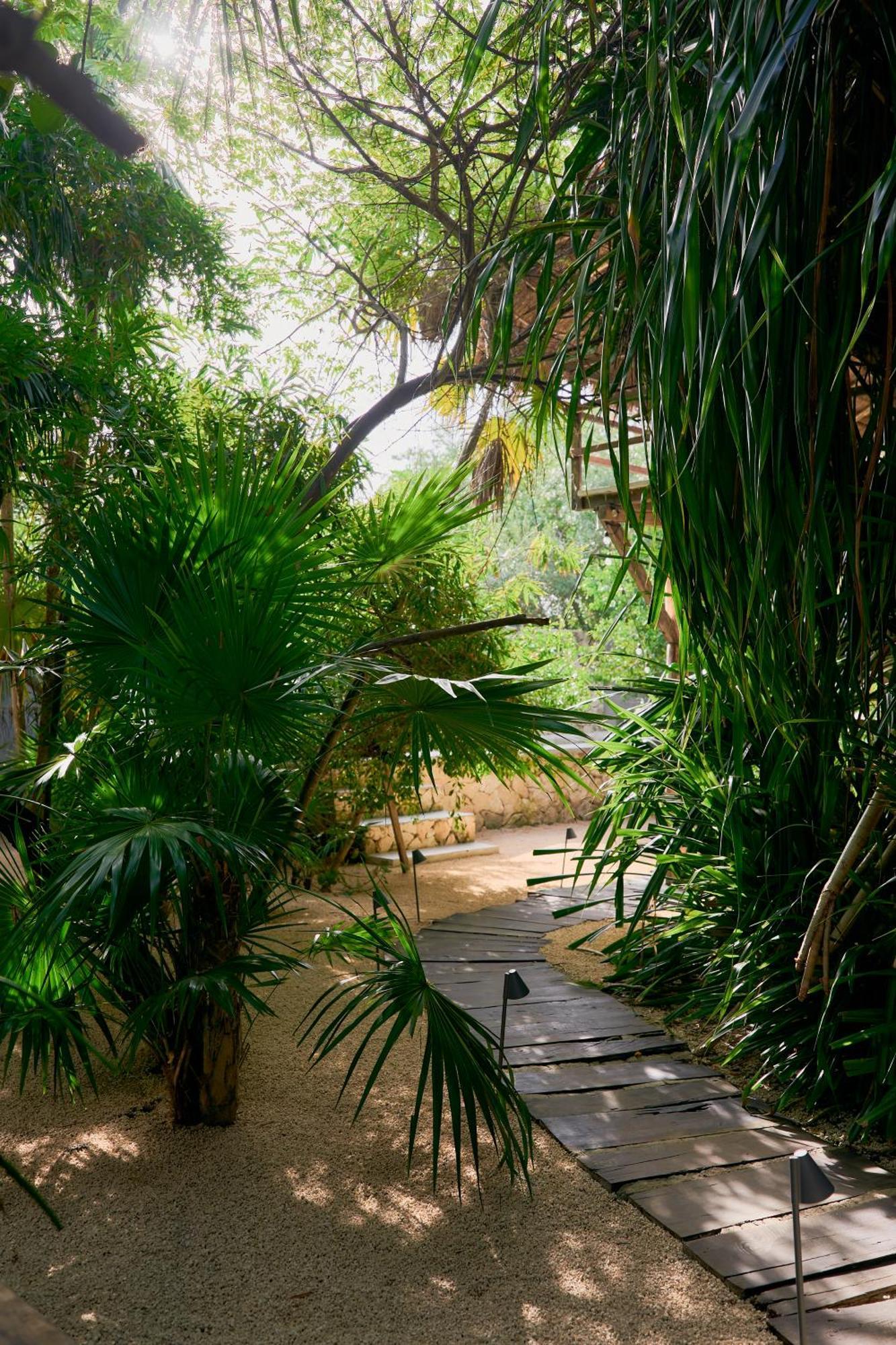 Amor Rooms Tulum Extérieur photo